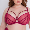 Senses Plunge Bra - Cherry Red
