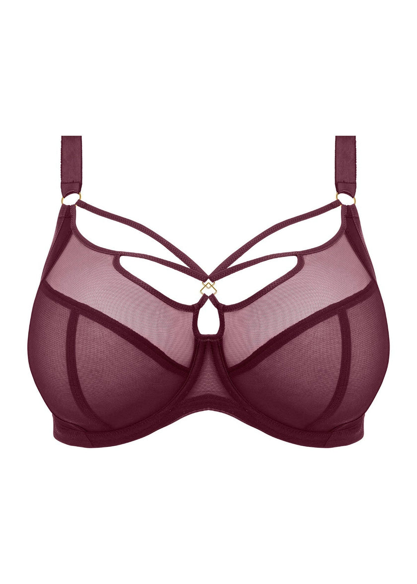 Sachi Plunge Bra - Cabernet