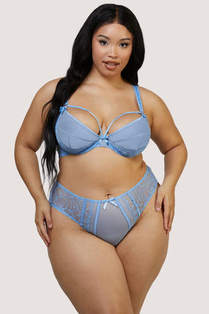 Fallon Lace Plunge Bra - Cornflower Blue