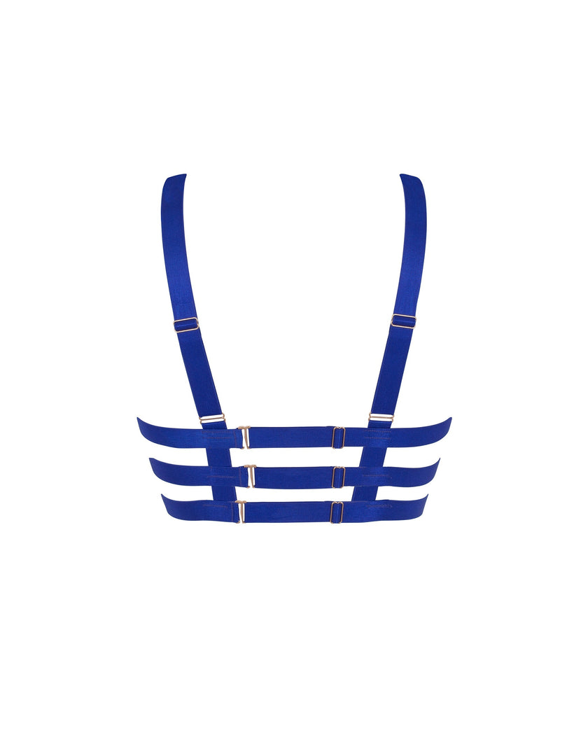 Miriam ECO Bra Surf the Web Blue