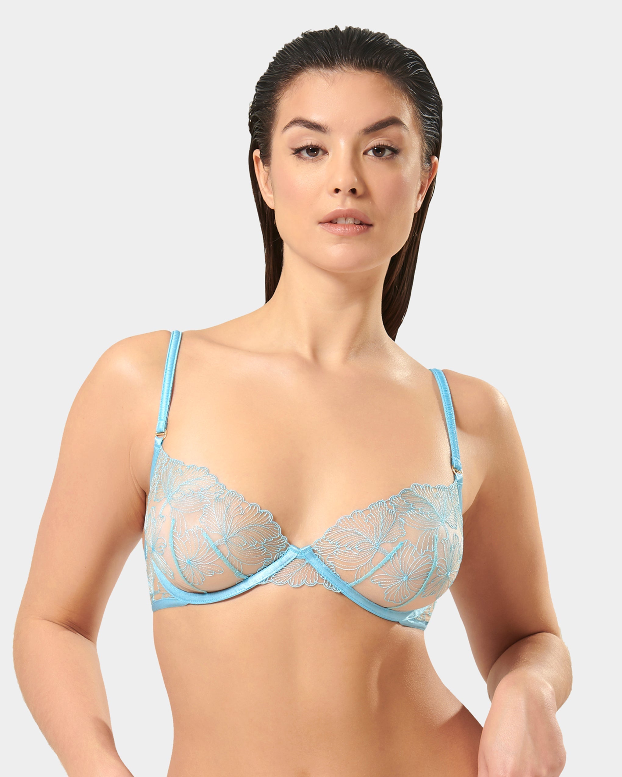 Alula Embroidered Sheer Bra Blue