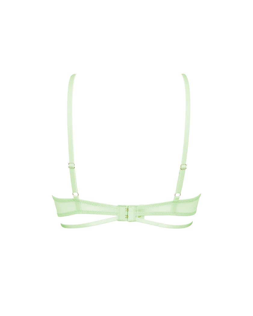 Isla Bra Green Ash