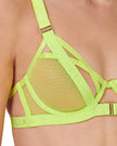 Oslo Bra Tender Shoots