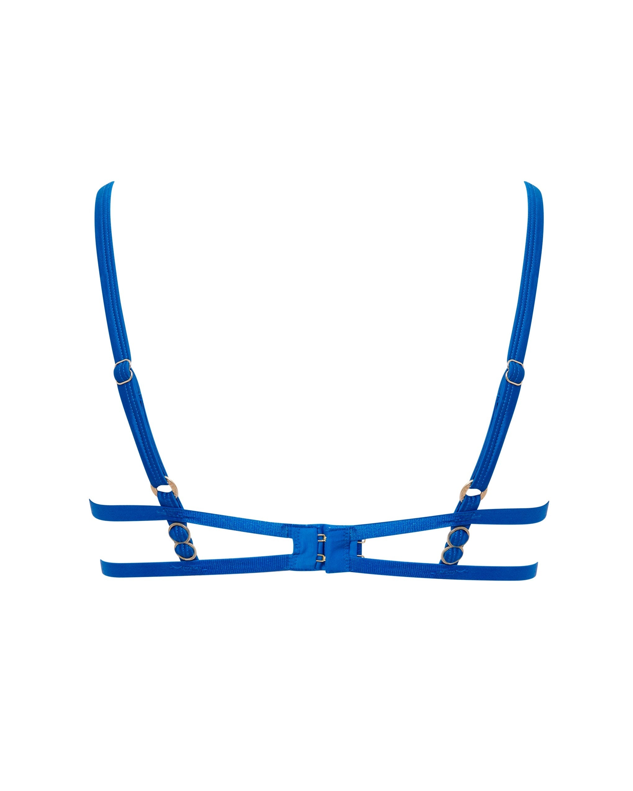Etta Sheer Strappy Bra Blue