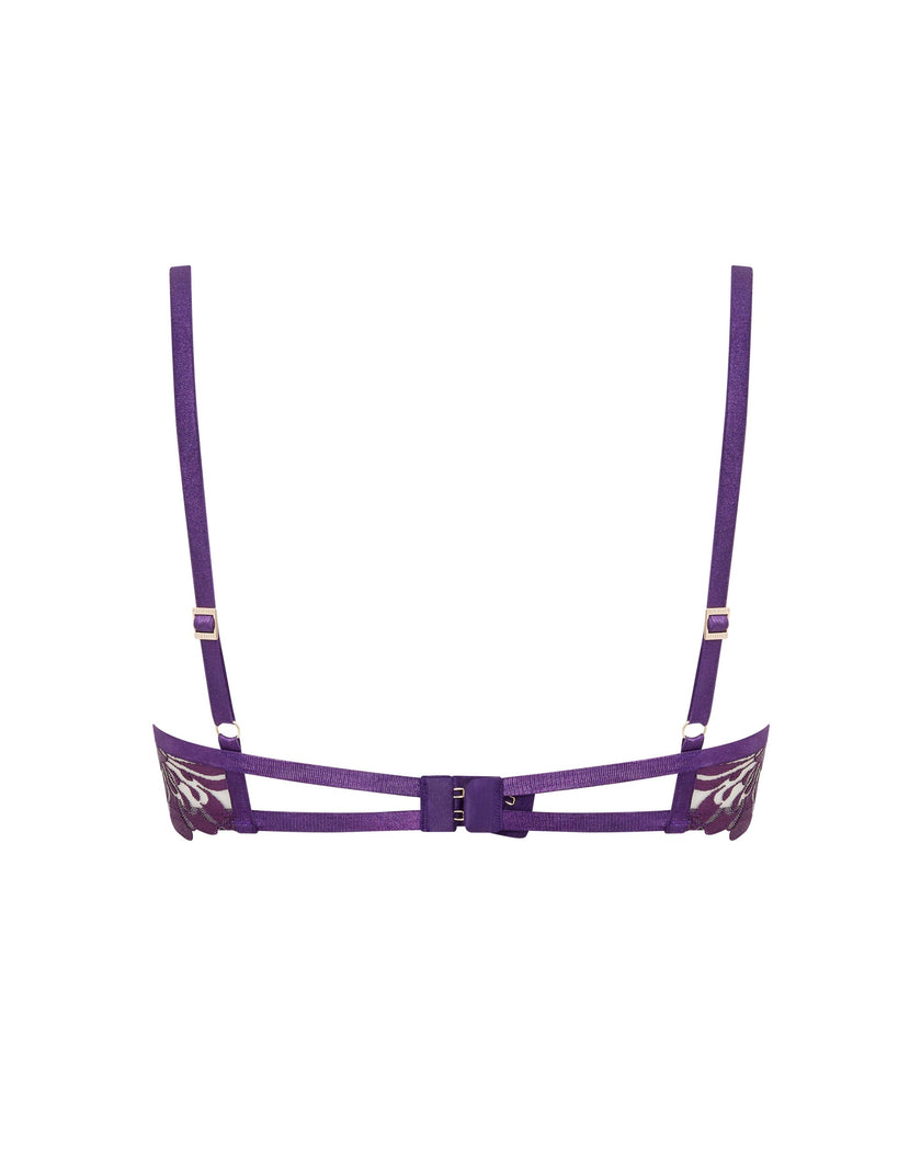 Leonora Wired Bra Acai Purple/Sheer