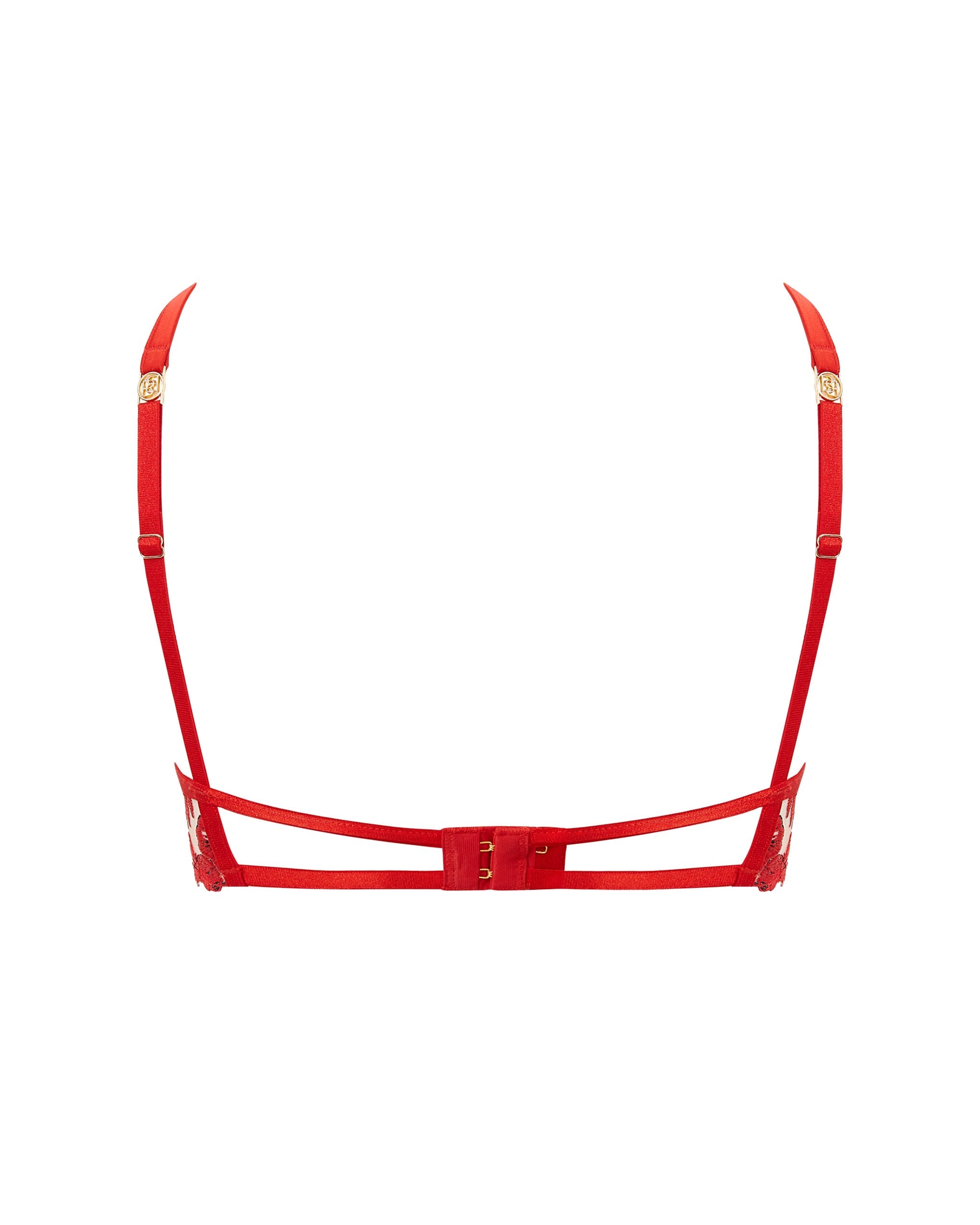 Lavanya Embroidered Longline Bra Red