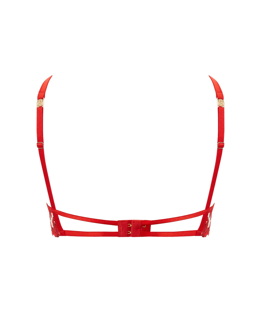 Lavanya Embroidered Longline Bra Red
