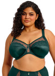 Cate Allure Underwire Bra -Deep Emerald