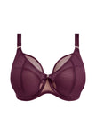 Kintai Plunge Bra - Blackberry