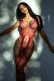 Moonlight Shimmer Full Bodystocking with Thong