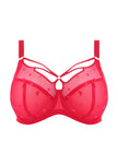 Sachi Plunge Bra - Red Confetti