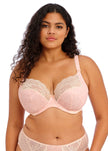 Lucie Stretch Plunge Bra - Blush Pink