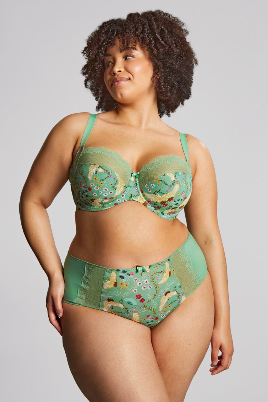Esme Balcony Bra - Wonderland