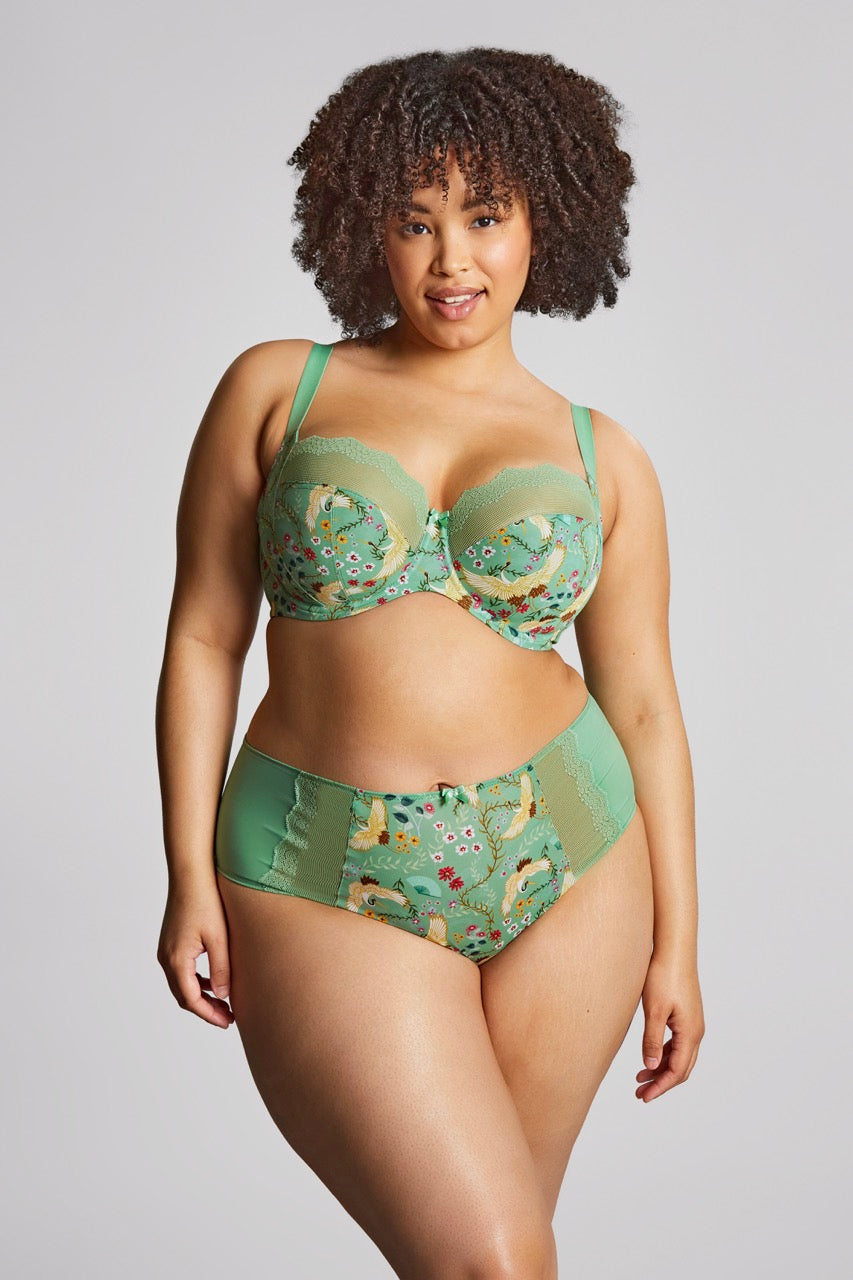 Esme Balcony Bra - Wonderland