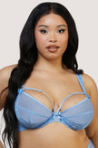 Fallon Lace Plunge Bra - Cornflower Blue